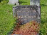 image of grave number 911117
